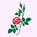 御幸遠州流　華道イベント
